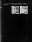 Azalea Mobile Homes - Bulbs (2 Negatives) (December 4, 1964) [Sleeve 17, Folder d, Box 34]